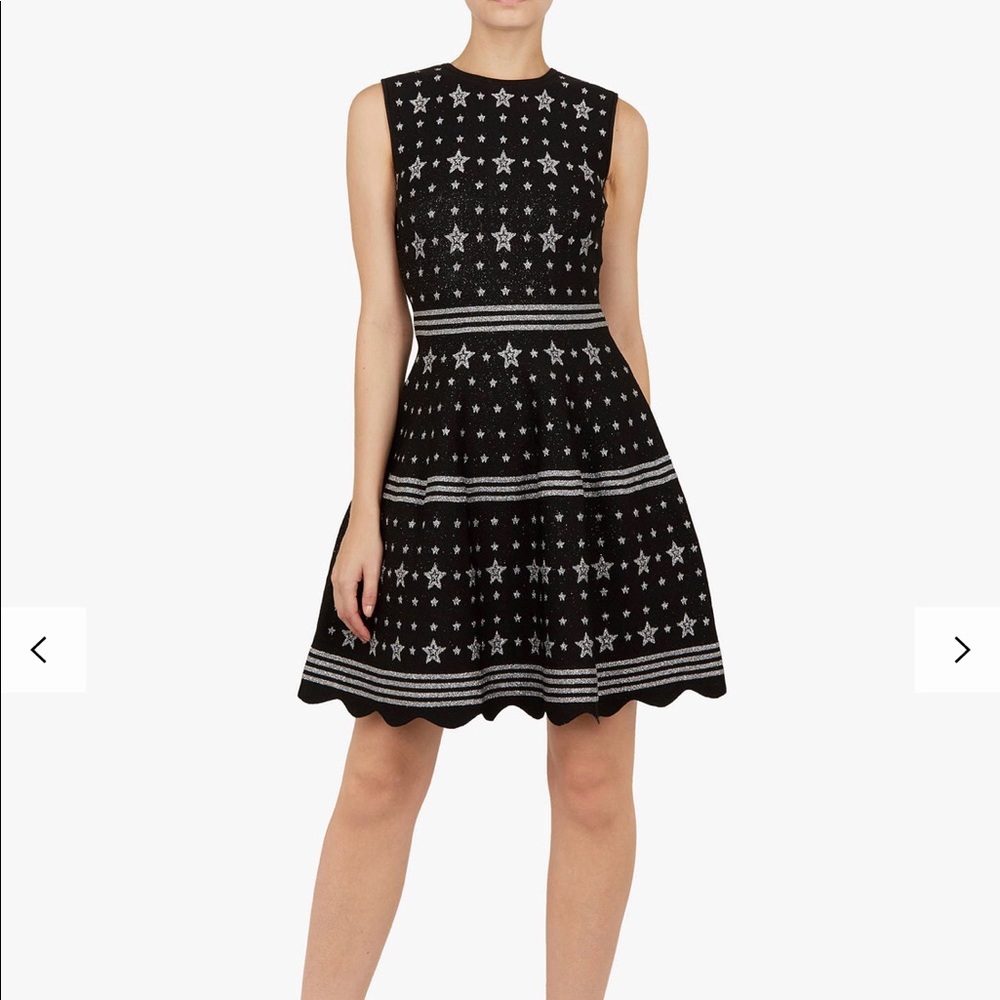 NWT  Mariae Star Jacquard Knit Dress ted  3, US 8